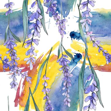 Mor lavanta. Botanik çiçek. Suluboya arka plan illüstrasyon küme. Sorunsuz arka plan deseni.