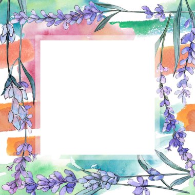 Mor lavanta. Botanik çiçek. Vahşi bahar yaprak kır çiçeği. Çerçeve kenarlığı süsleme Meydanı.