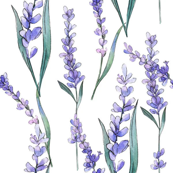 Violettem Lavendel. Blütenbotanische Blume. Aquarell Hintergrundillustration Set. nahtloses Hintergrundmuster. — Stockfoto