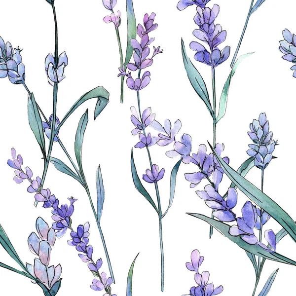 Lavanda púrpura. Flor botánica floral. Conjunto de ilustración de fondo acuarela. Patrón de fondo sin costuras . —  Fotos de Stock