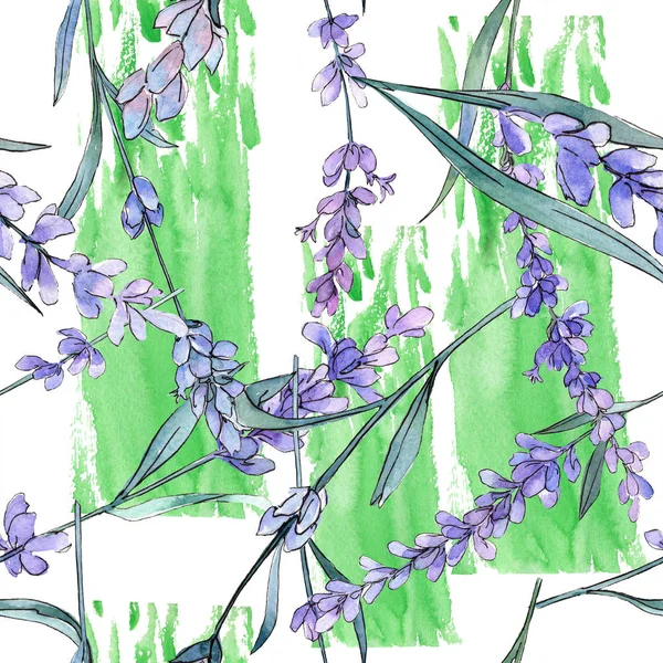 Fioletowy lawendy. Botaniczny kwiat kwiatowy. Zestaw ilustracji tle akwarela. Bezszwowe tło wzór. — Zdjęcie stockowe