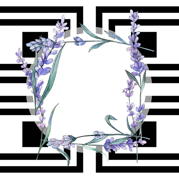 Violettem Lavendel. Blütenbotanische Blume. wilde Frühlingsblume. Rahmen Rand Ornament Quadrat. — Stockfoto