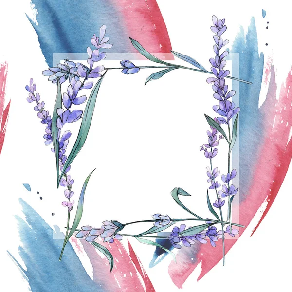 Violettem Lavendel. Blütenbotanische Blume. wilde Frühlingsblume. Rahmen Rand Ornament Quadrat. — Stockfoto