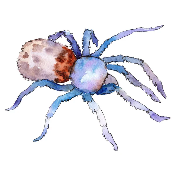 Exotic tarantula wild insect in a watercolor style isolated. For background, texture, wrapper pattern or tattoo. — Stock Photo, Image