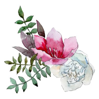 Pembe beyaz çiçekler. Botanik çiçek. Buket kompozisyon izole. Suluboya arka plan illüstrasyon seti.