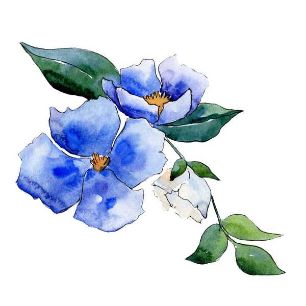 Fiore blu. Fiore botanico floreale. Composizione isolata del bouquet. Acquerello sfondo illustrazione set . — Foto Stock