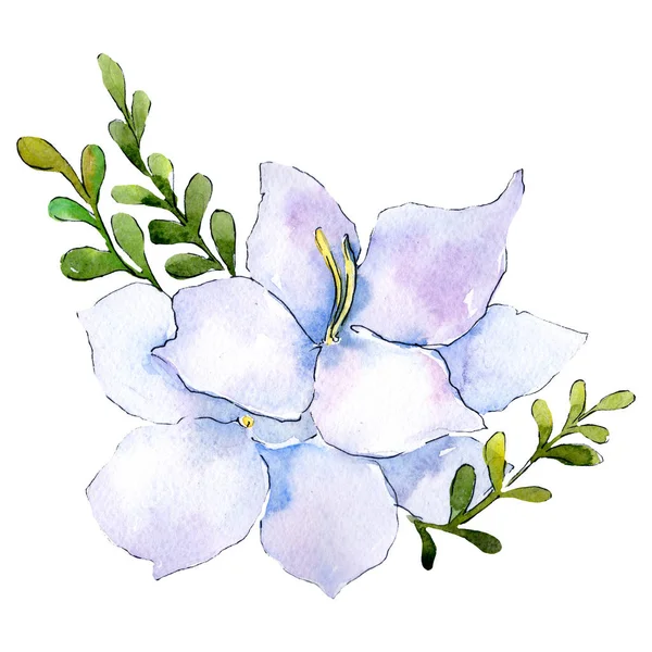 白い花。花植物の花。花束組成を分離しました。水彩画背景イラスト セット. — ストック写真