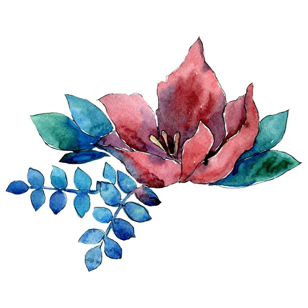 Flor vermelha. Floral flor botânica. Composição de buquê isolado. Conjunto de ilustração de fundo aquarela . — Fotografia de Stock
