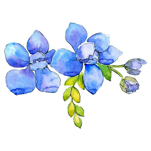 Blue flowers. Floral botanical flower. Isolated bouquet composition. Watercolor background illustration set. — Stock Photo, Image