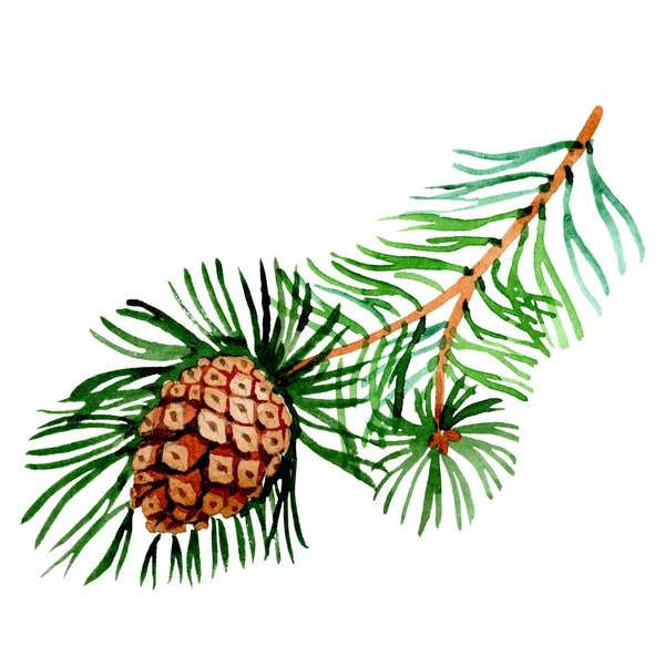 松の枝。分離された水彩画のクリスマス冬休日のシンボル。2019 年. — ストック写真