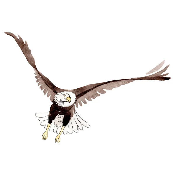 Ptak niebo orła w dzikiej przez stylu przypominającym akwarele na białym tle. Tekstura, wzór, tło, ramki. — Zdjęcie stockowe