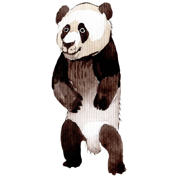Elemento aislado de ilustración de panda. Fondo, textura, patrón de envoltura o tatuaje . —  Fotos de Stock