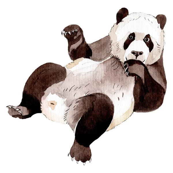 Geïsoleerde panda illustratie element. Achtergrond, textuur, wrapper patroon of tatoeage. — Stockfoto