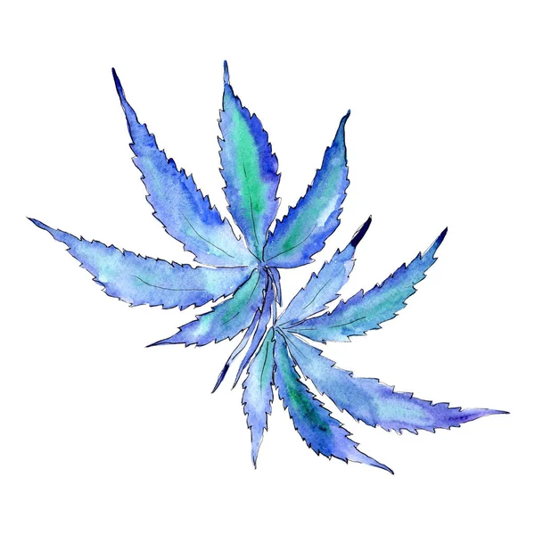Folha azul de canábis. Elemento de ilustração de cannabis isolado. Fundo aquarela ilustração conjunto . — Fotografia de Stock