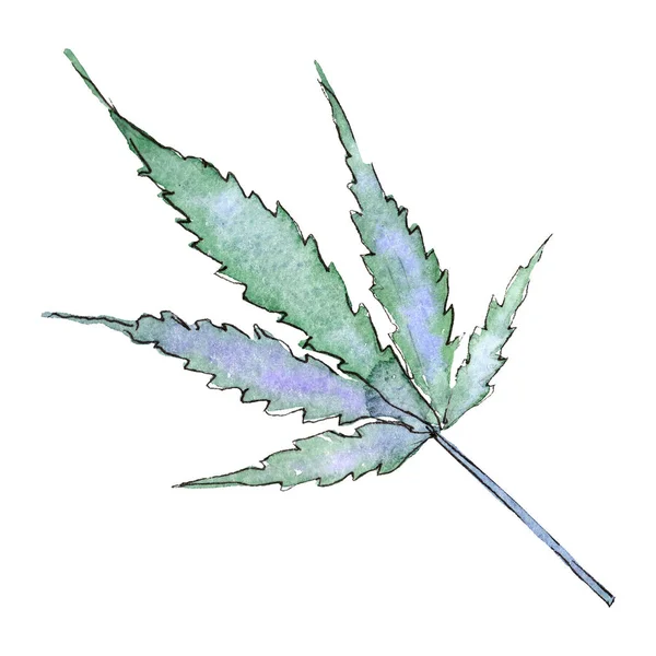 大麻緑葉。孤立した大麻の図要素。背景の水彩画イラスト セット. — ストック写真