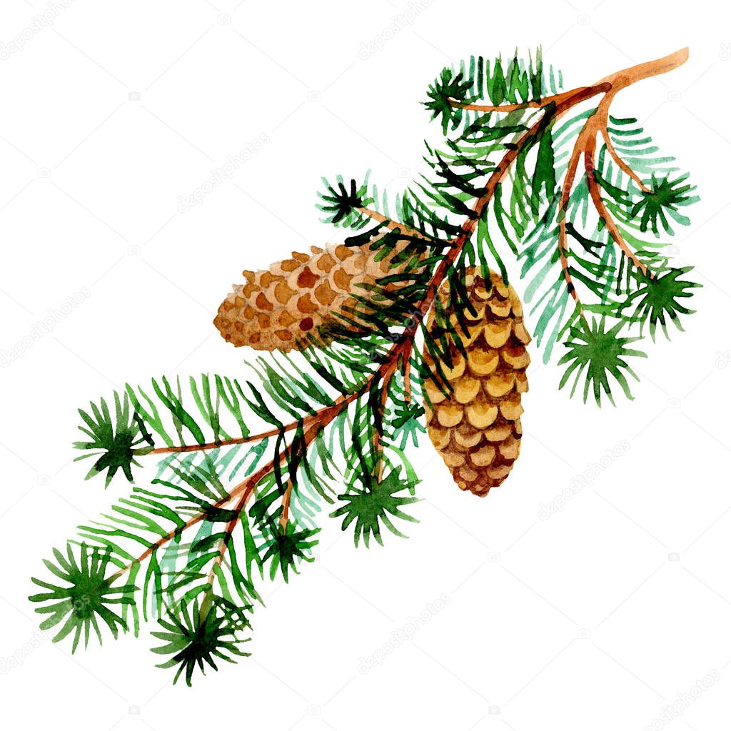 Pine branch. Christmas winter holiday symbol in a watercolor style isolated. 2019 year.