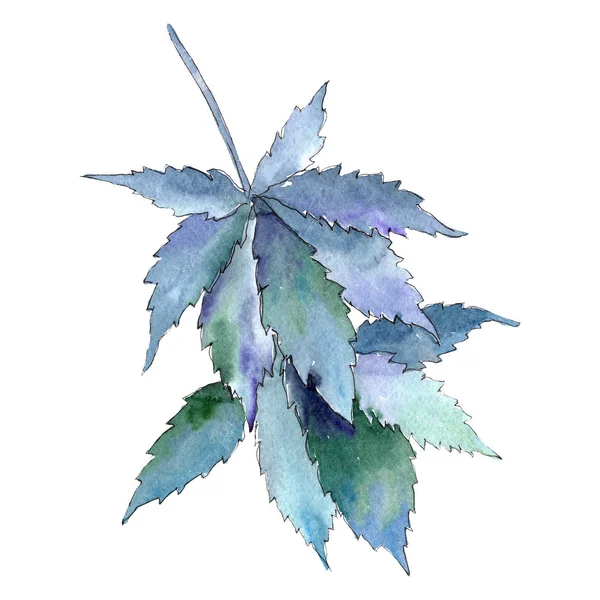 대마초 녹색의 잎 절연된 대마초 그림 요소입니다. 배경 수채화 그림 세트. — 스톡 사진