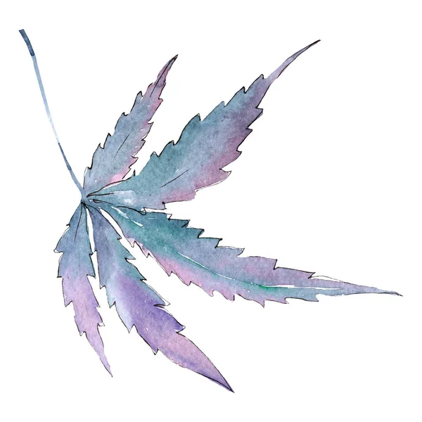 Hoja verde púrpura de cannabis. Elemento ilustrativo aislado del cannabis. Fondo acuarela ilustración conjunto . — Foto de Stock