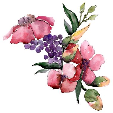 Pembe kırmızı botanik çiçek. İzole buket illüstrasyon öğesi. Yeşil yaprak. Suluboya arka plan ayarlamak.