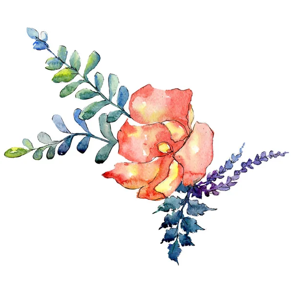 Orahge botanical flower. Isolated bouquet illustration element. Green leaf. Watercolor background set. — Stock Photo, Image