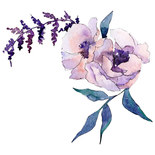 白色紫色植物花。孤立的花束插图元素。绿叶。水彩背景集. — 图库照片