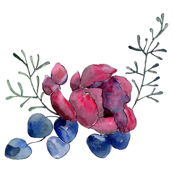 Red botanical flower. Isolated bouquet illustration element. Blue leaf. Watercolor background set. — Stock Photo, Image