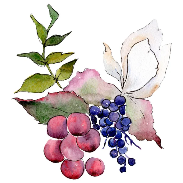 Vit botaniska blomma. Isolerade bukett illustration element. Grönt blad. Akvarell bakgrund. — Stockfoto