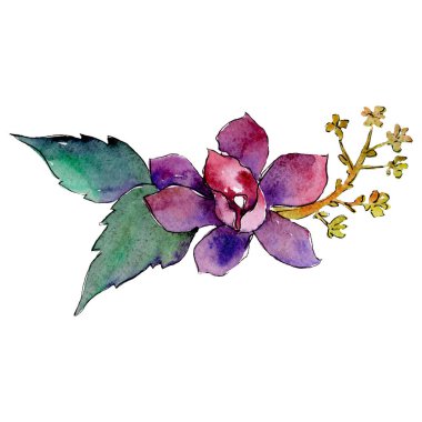 Mor botanik çiçek. İzole buket illüstrasyon öğesi. Yeşil yaprak. Suluboya arka plan ayarlamak.