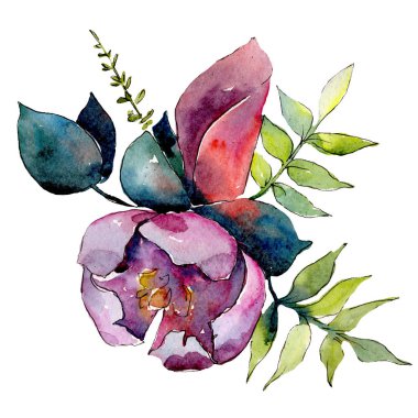 Mor botanik çiçek. İzole buket illüstrasyon öğesi. Yeşil yaprak. Suluboya arka plan ayarlamak.