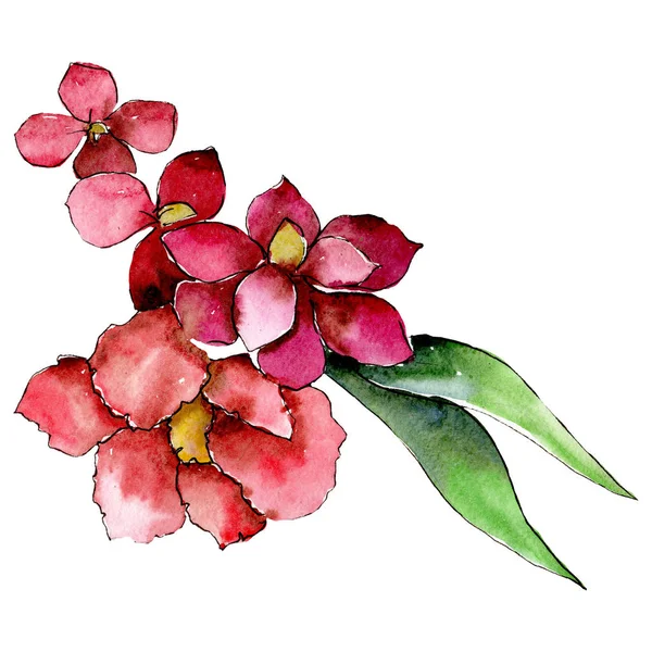 Bunga botani merah. Unsur ilustrasi karangan bunga yang terisolasi. Daun hijau. Set latar belakang cat air . — Stok Foto