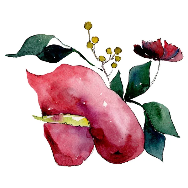 Κόκκινες calla βοτανικό λουλούδι. Απομονωμένη μπουκέτο εικονογράφηση στοιχείο. Πράσινο φύλλο. Σετ ακουαρέλας φόντο. — Φωτογραφία Αρχείου