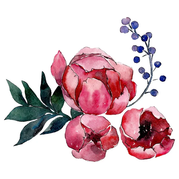 Botaniczny czerwony piwonia kwiaty. Element ilustracja na białym tle bukiet. Zielony liść. Zestaw tle akwarela. — Zdjęcie stockowe