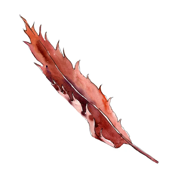 Brown chestnut  leaf. Isolated chestnut  leaf. Illustration element. Watercolor background illustration set. — Stock Photo, Image