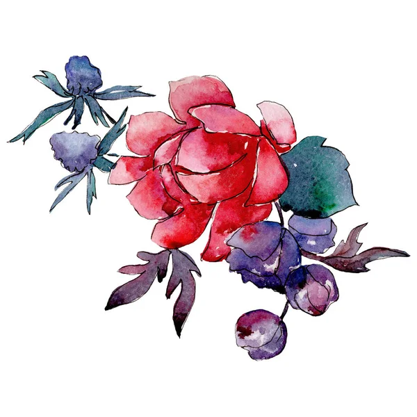 Red flower. Isolated flower illustration element. Background illustration set. Watercolour drawing aquarelle bouquet.