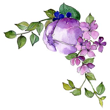 Mor çiçekler. İzole çiçek çizim öğesi. Arka plan ayarlayın. Suluboya çizim aquarelle buket.