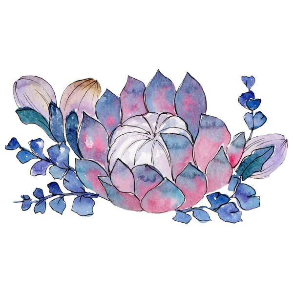 Profumo succulento. Isolato elemento di sfondo illustrazione succulenta. Acquerello disegno acquerello bouquet . — Foto Stock