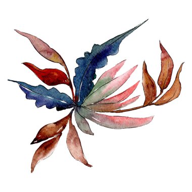 Harika çiçek. İzole çiçek çizim öğesi. Arka plan ayarlayın. Suluboya çizim aquarelle buket.