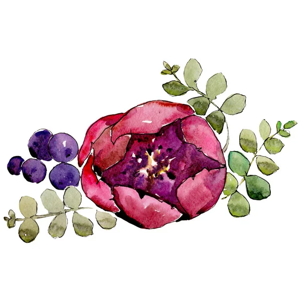 Red rosa. Isolated flower illustration element. Background illustration set. Watercolour drawing aquarelle bouquet. — Stock Photo, Image