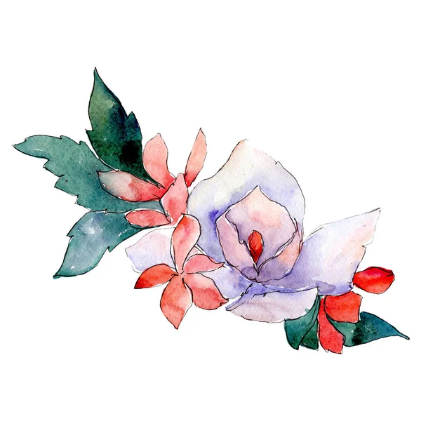 White and red flowers. Isolated flower illustration element. Background set. Watercolour drawing aquarelle bouquet. — Stock Photo, Image