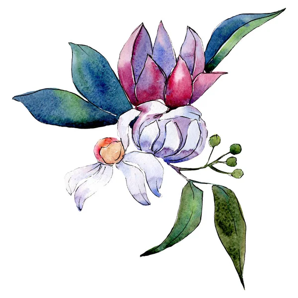Vita och röda blommor. Isolerade blomma illustration element. Bakgrund set. Akvarell ritning aquarelle bukett. — Stockfoto