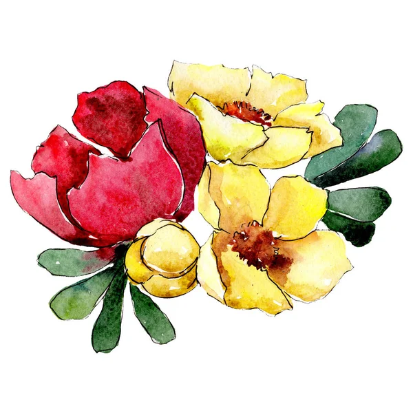 Red and yellow flowers. Isolated flower illustration element. Background set. Watercolour drawing aquarelle bouquet. — Stock Photo, Image