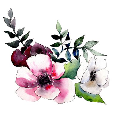 Kırmızı ve beyaz çiçekler. İzole çiçek çizim öğesi. Arka plan ayarlayın. Suluboya çizim aquarelle buket.