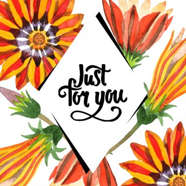 Turuncu gazania çiçek. Sadece senin el yazısı monogram hat için. Suluboya arka plan, çerçeve veya kenarlık.