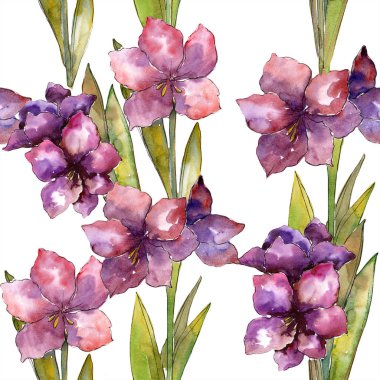 Mor amaryllis çiçek. Suluboya resim kümesi. Sorunsuz arka plan deseni. Kumaş duvar kağıdı yazdırma doku.