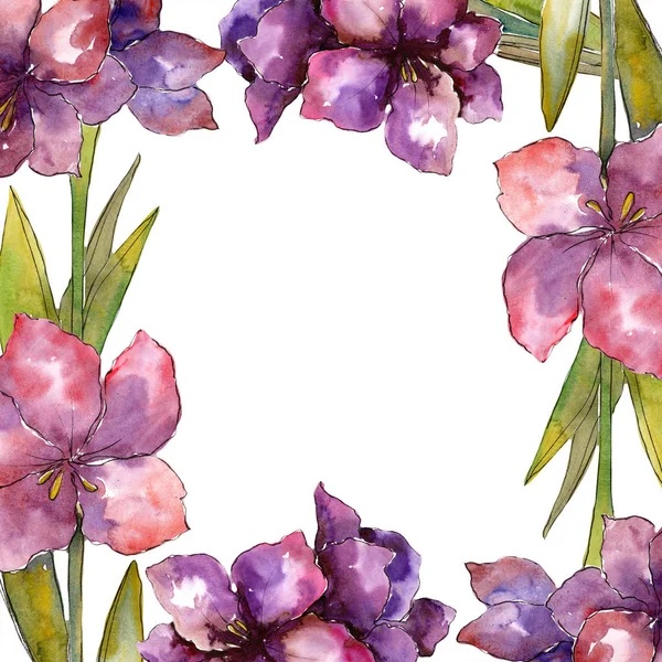 Flor amarilis púrpura. Juego de ilustración en acuarela. Dibujo acuarela marco o borde ornamento cuadrado . — Foto de Stock