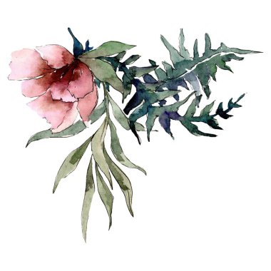 Yeşil yaprakları ile kırmızı Şakayık Çiçeği. İzole buket illüstrasyon öğesi. Suluboya arka plan illüstrasyon seti.