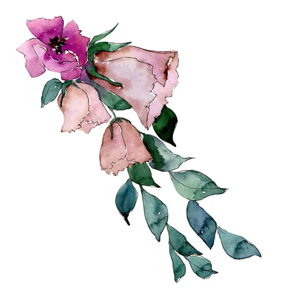 Mor çiçekler Buket yeşil yaprakları ile. İzole buket illüstrasyon öğesi. Suluboya arka plan illüstrasyon seti.