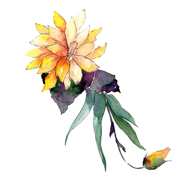 Mazzo di fiori gialli con foglie verdi. Elemento di illustrazione del bouquet isolato. Acquerello sfondo illustrazione set . — Foto Stock