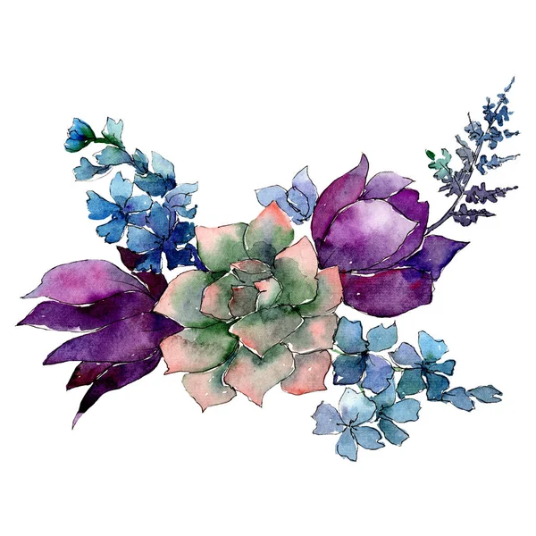 Succulento con fiori viola e blu. Elemento di illustrazione del bouquet isolato. Acquerello sfondo illustrazione set . — Foto Stock
