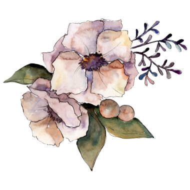 Yeşil yaprakları ile bej çiçek buketi. İzole buket illüstrasyon öğesi. Suluboya arka plan illüstrasyon seti.